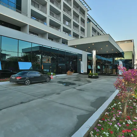 Numa Bay Exclusive Avsallar