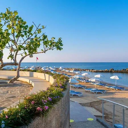 Numa Bay Exclusive