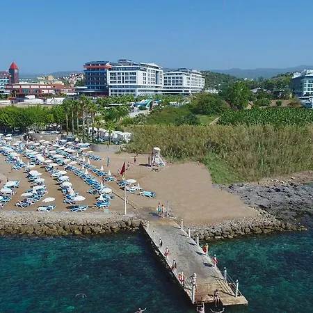 Numa Bay Exclusive